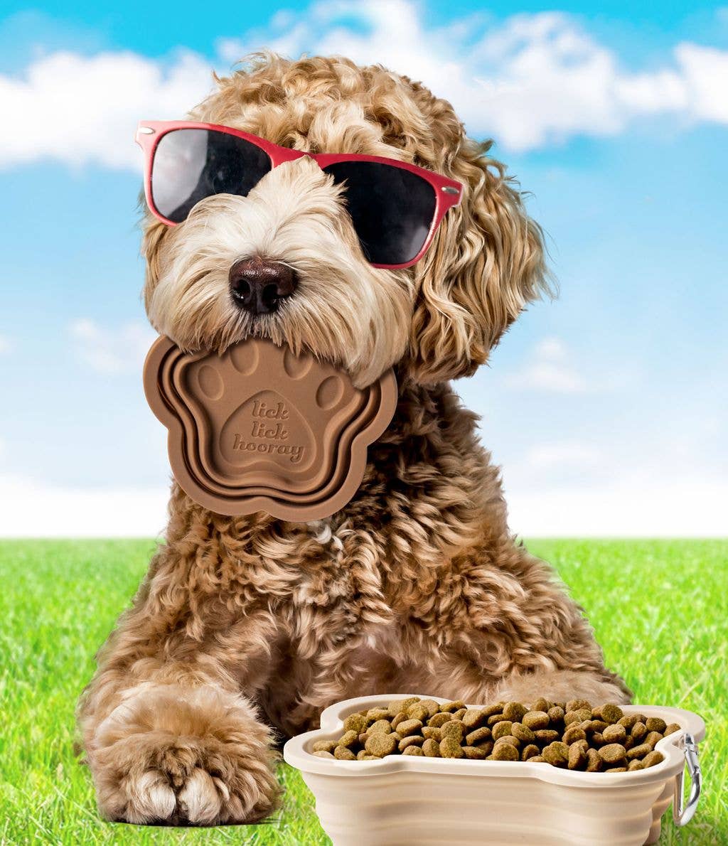 Collapsible Doggie Dish - BONE